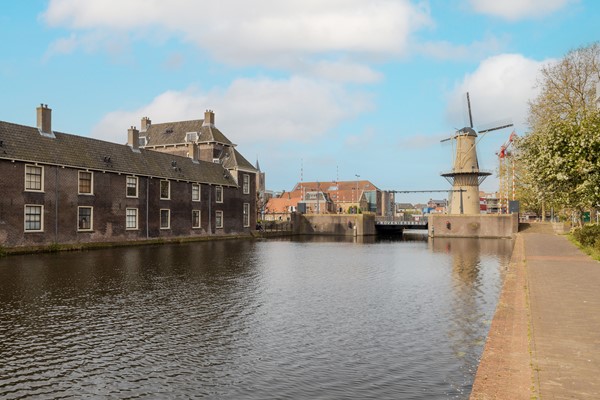 Medium property photo - Delflandseweg 235, 3119 XW Schiedam